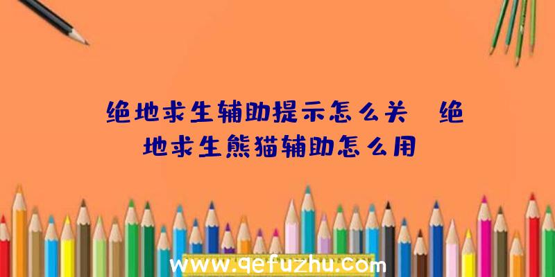 「绝地求生辅助提示怎么关」|绝地求生熊猫辅助怎么用